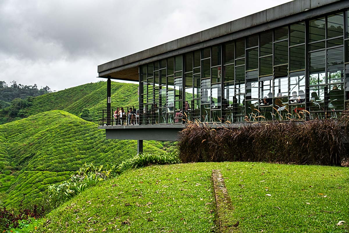 BOH Tea Plantation Factory