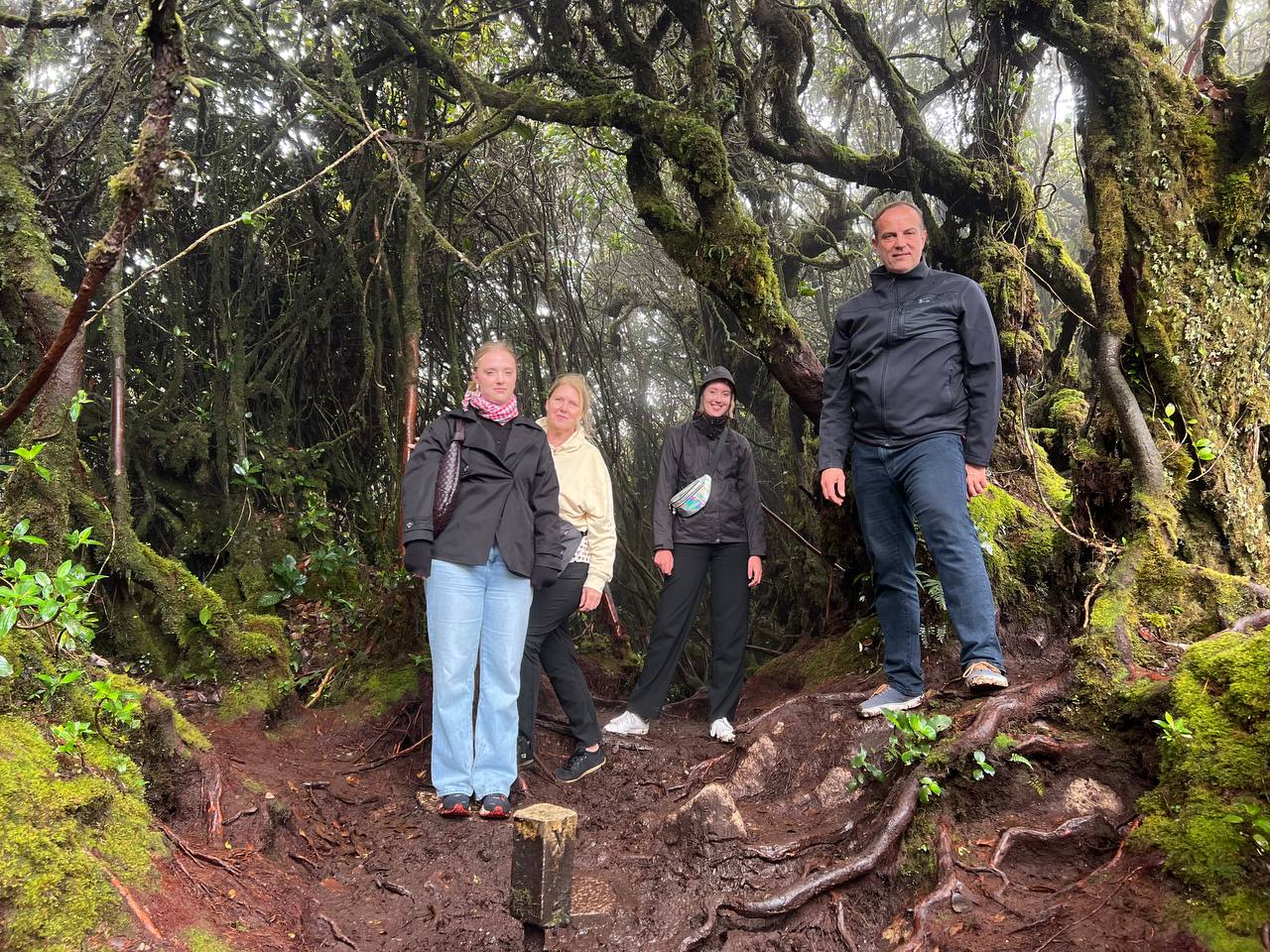 Gunung Brinchang & Mossy Forest Experience