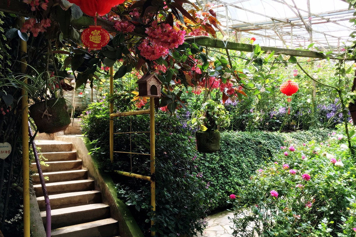Rose Valley & Honey Bee Farm
